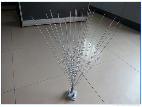 �(q��)�B�̷��B��